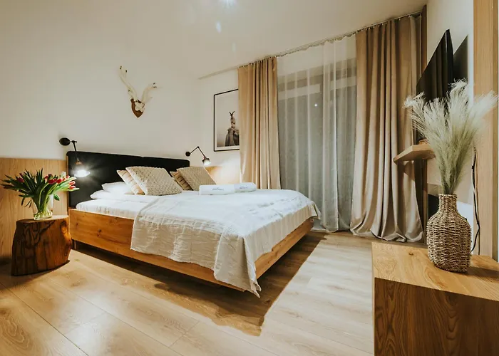 Visitzakopane - Paris